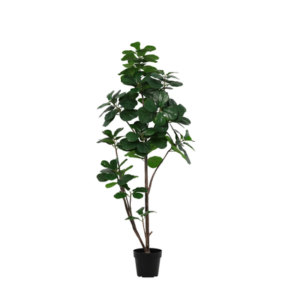 ARTIFICIAL Ficus lyrata vertakt - 150cm