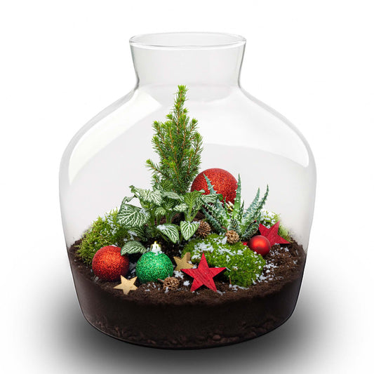 Holly Christmas terrarium - Bottle garden DIY kit - Ø 29 cm ↑ 30