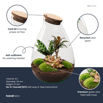 DIY Planten terrarium - Drop XL Palm - Ø 24 cm ↑ 37 cm - Rake + Shovel + Tweezer + Scissors