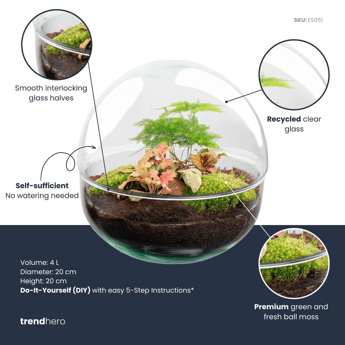 DIY Planten terrarium tweedelig bolglas - Dome Red - Ø 20 cm ↑ 20 cm   - Rake + Shovel + Tweezer