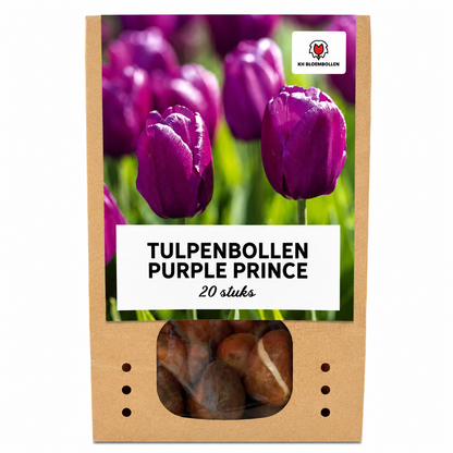 Tulpenbollen Purple Prince – 20 Stuks | KH Bloembollen® | Paars-Violet Tulp – Krachtig & Koninklijk – Voor Tuin of Pot – Maat 11/12 – Vers van de Teler