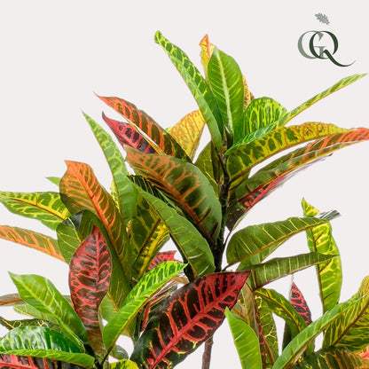 Kunstplant - Croton Codiaeum - Wonderstruik - 95 cm