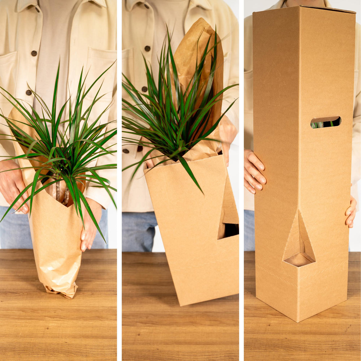 Verrassingsbox - Ø12cm - ↕25cm - x8