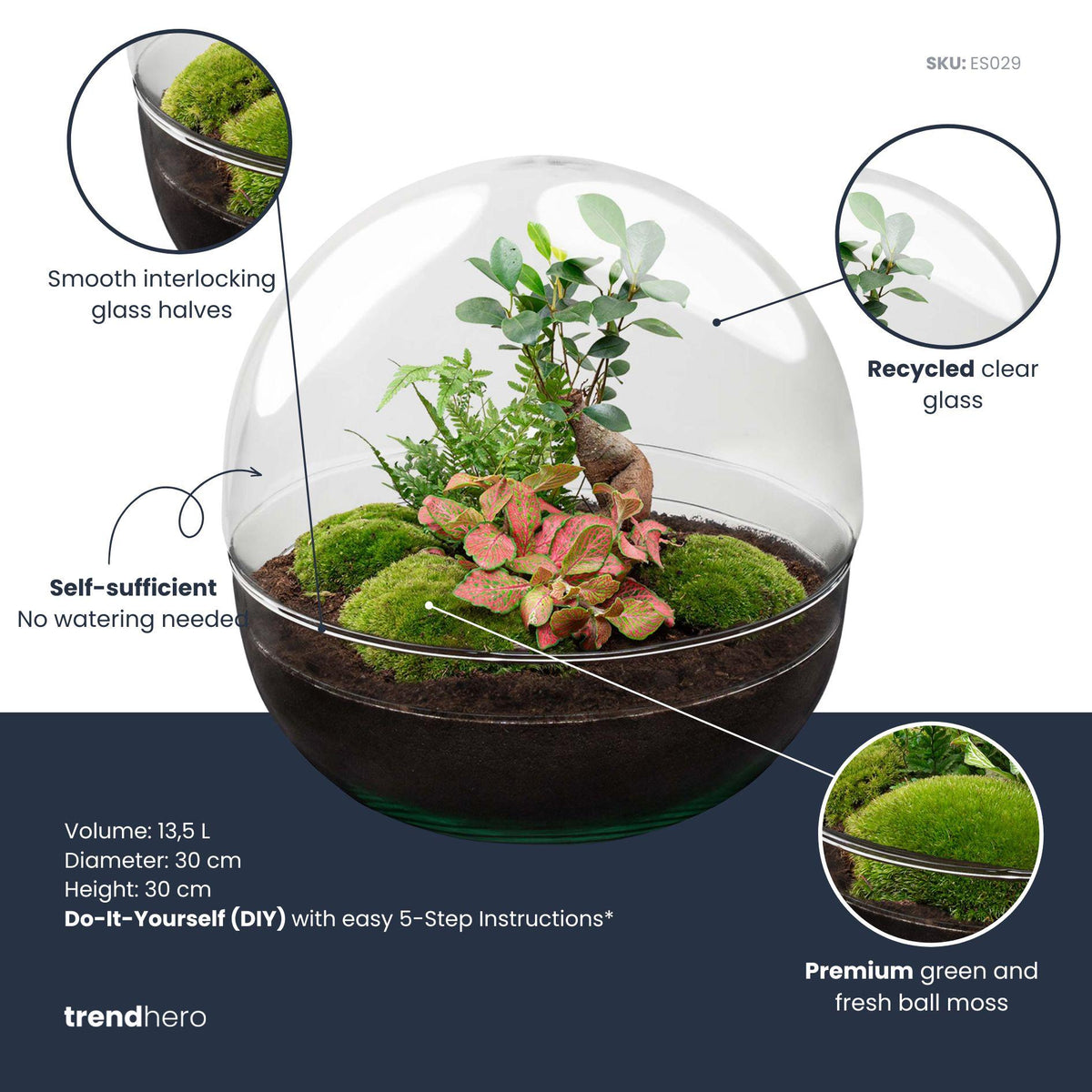 DIY Planten terrarium tweedelig bolglas - Dome XL Bonsai - Ø 28 cm ↑ 28 cm - Rake + Shovel + Tweezer