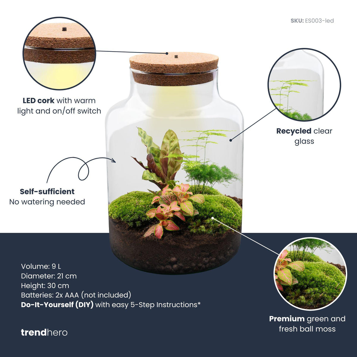 DIY Planten terrarium met licht - Milky - Ø 21 cm ↑ 30 cm - Rake + Shovel + Tweezer + Scissors