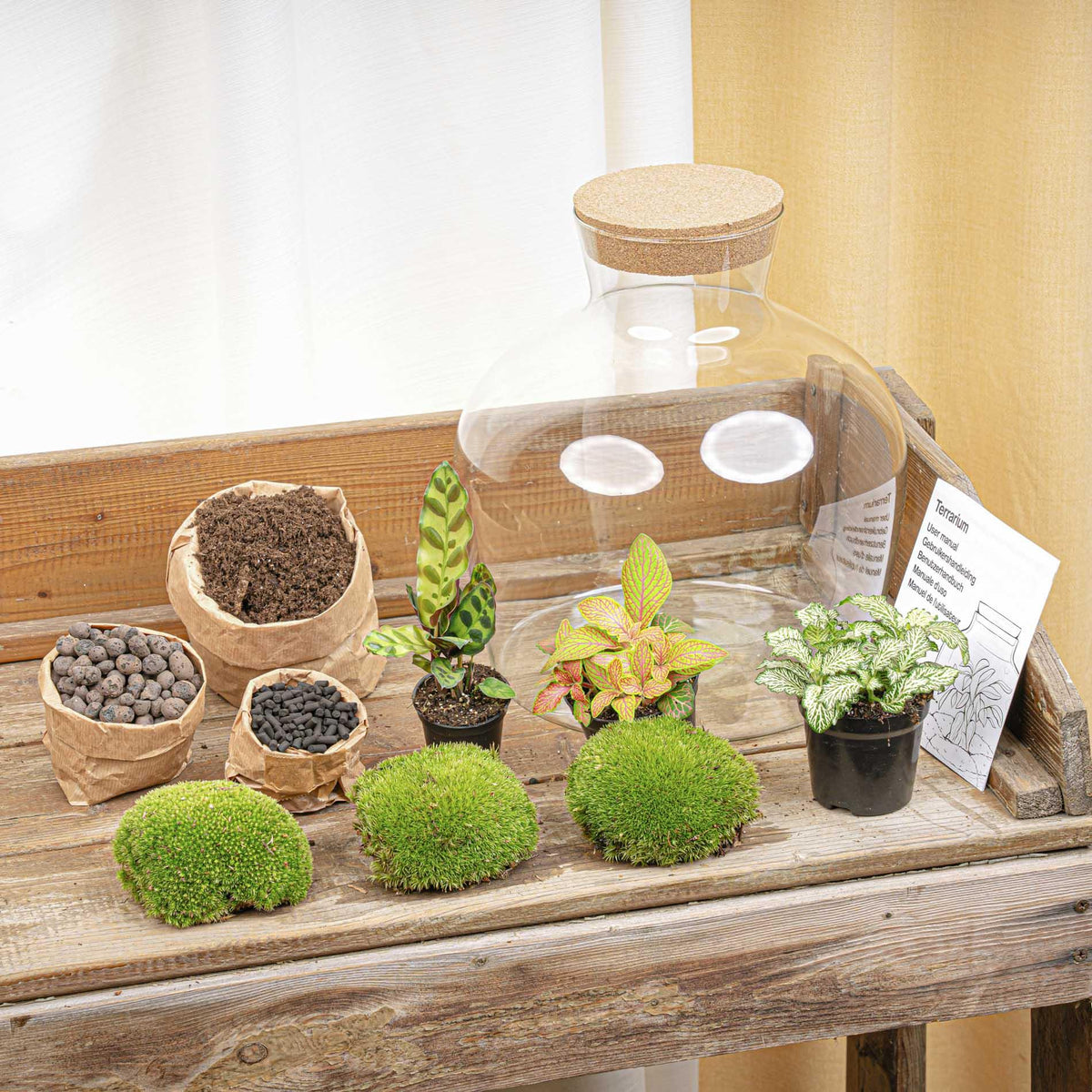 DIY Planten terrarium met licht - Fat Joe Red - Ø 29 cm ↑ 30 cm - Rake + Shovel + Tweezer + Scissors