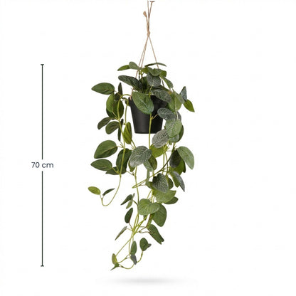Fittonia - hangplant in pot - 70 cm - Kunstplant