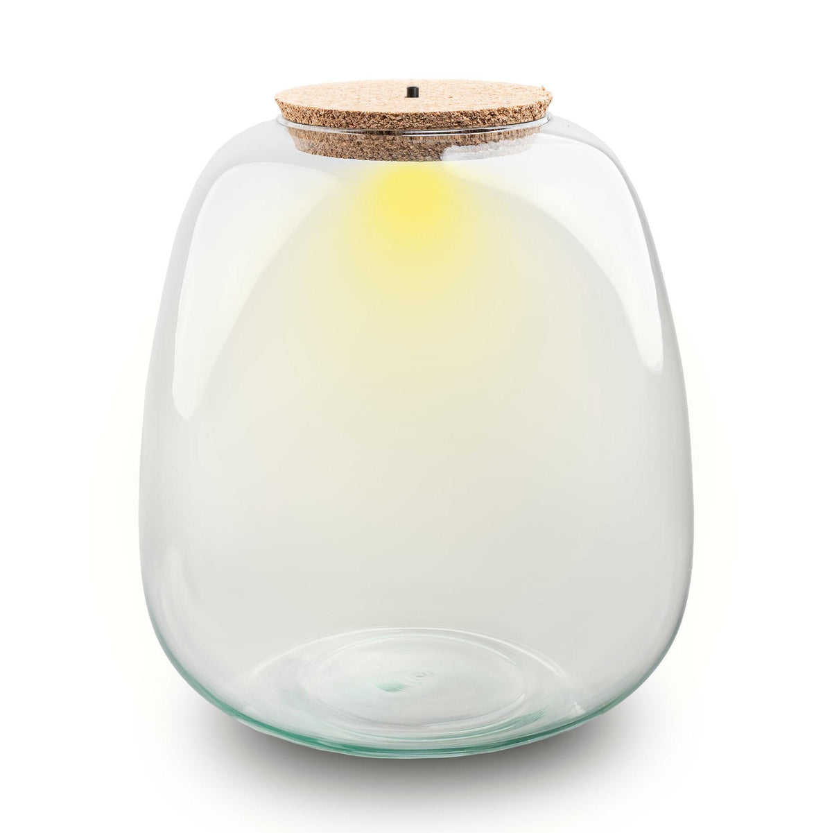 Terrarium fles met verlichting - Emma - Ø 23 cm ↑ 25 cm