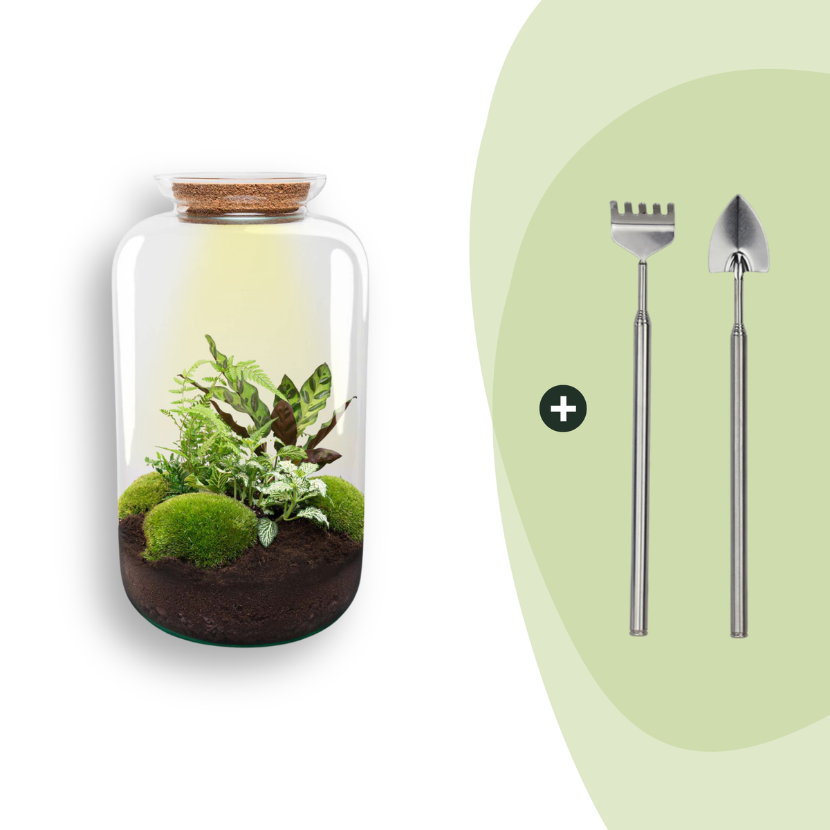DIY Planten terrarium met licht - Sven XL Botanical - Ø 23 cm ↑ 43 cm - Rake + Shovel