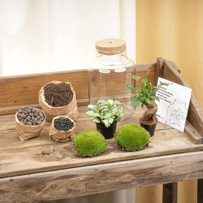 DIY Planten terrarium met licht - Little Milky Bonsai - Ø 17 cm ↑ 25 cm
