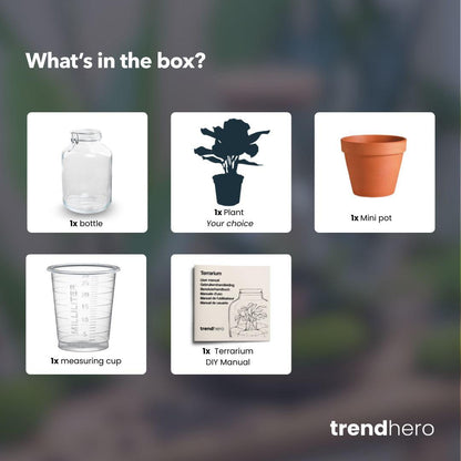 Easyplant - Bonsai - Mini-ecosysteem
