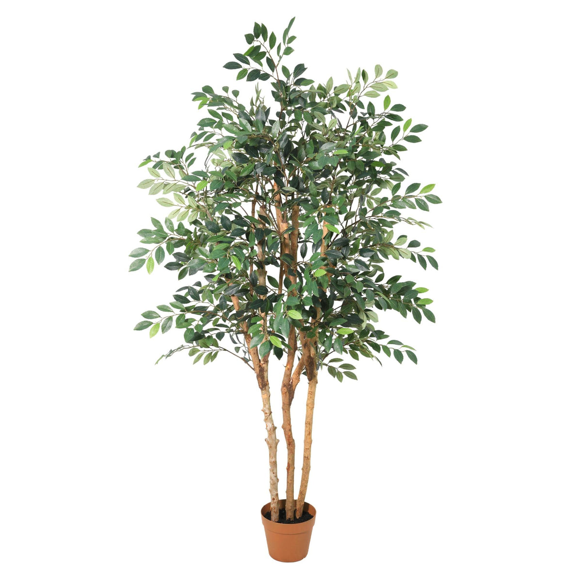 ARTIFICIAL Ficus Exotica - 150cm