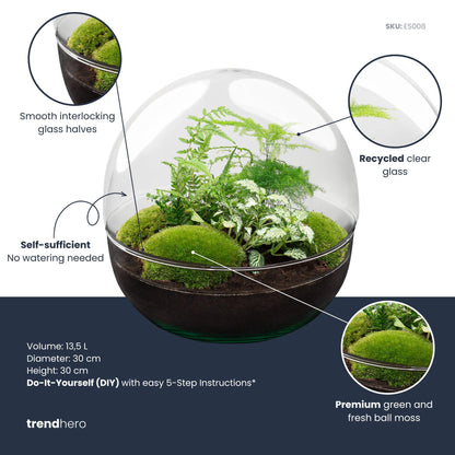 DIY Planten terrarium tweedelig bolglas - Dome XL -Ø 28 cm ↑ 28 cm - Rake + Shovel + Tweezer