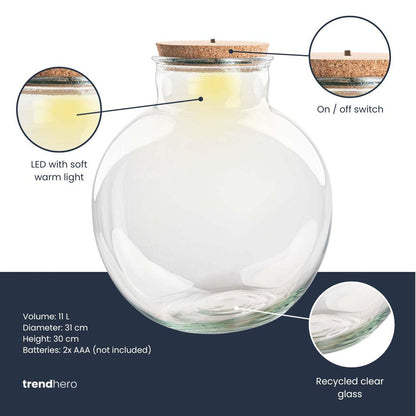 Terrarium fles met (LED) kurk - Bolder Bob - Ø 30 cm ↑ 31 cm - Met LED-kurk