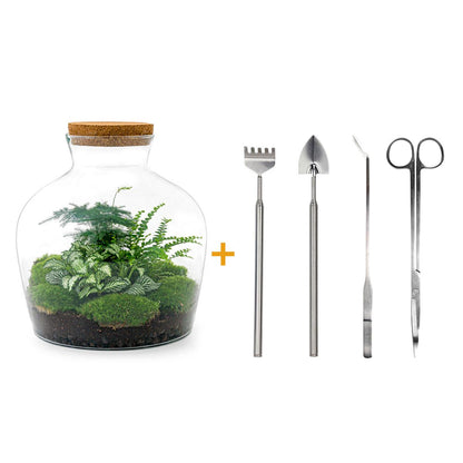 DIY Planten terrarium met licht - Fat Joe Green - Ø 29 cm ↑ 30 cm - Rake + Shovel + Tweezer + Scissors