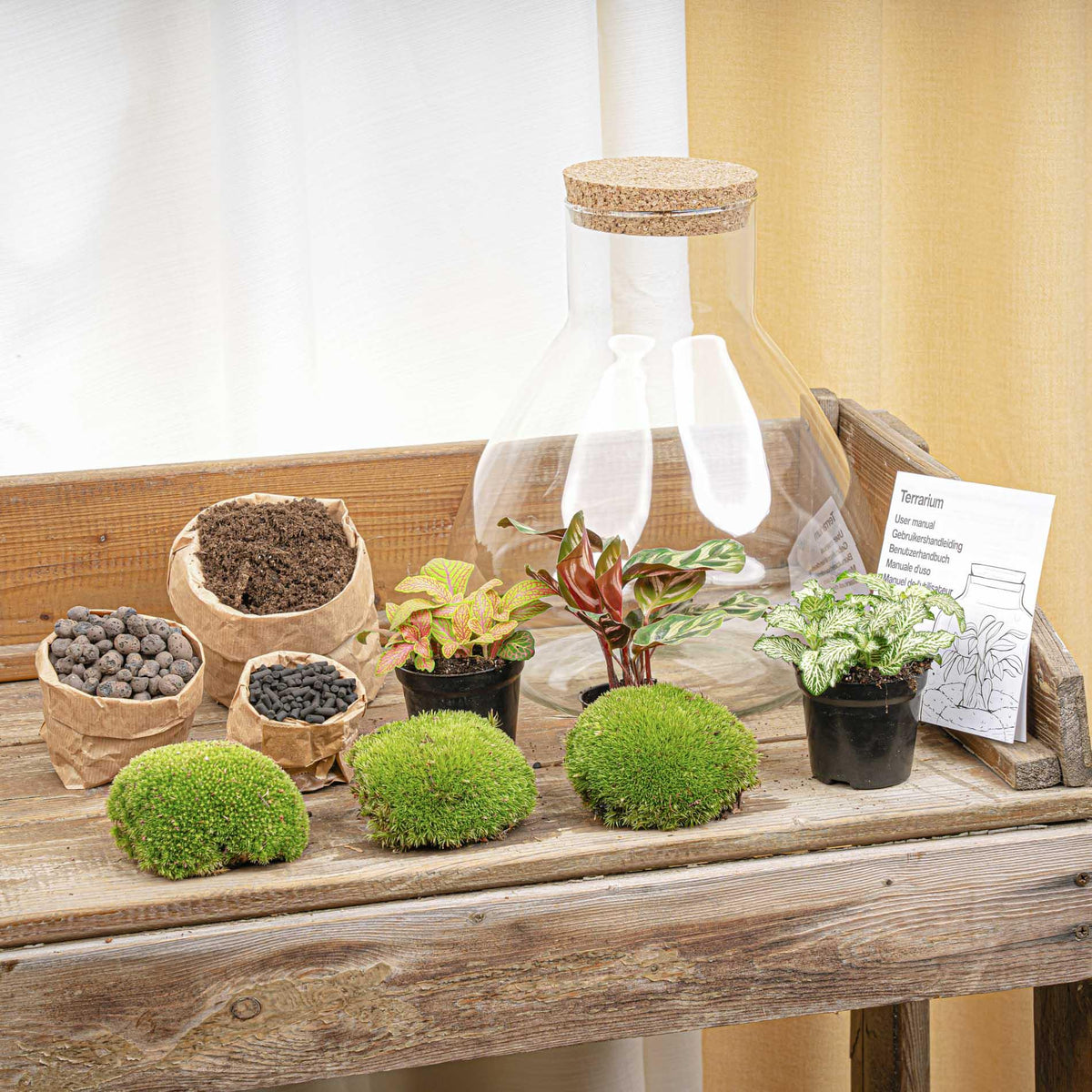 DIY Planten terrarium met licht - Sam XL Red - Ø 30 cm ↑ 32 cm - Rake + Shovel + Tweezer + Scissors