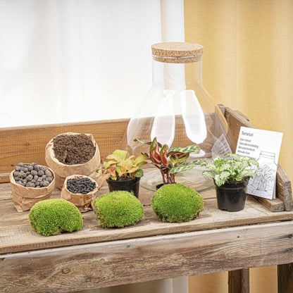 DIY Planten terrarium met licht - Sam XL Red - Ø 30 cm ↑ 32 cm - Rake + Shovel + Tweezer + Scissors