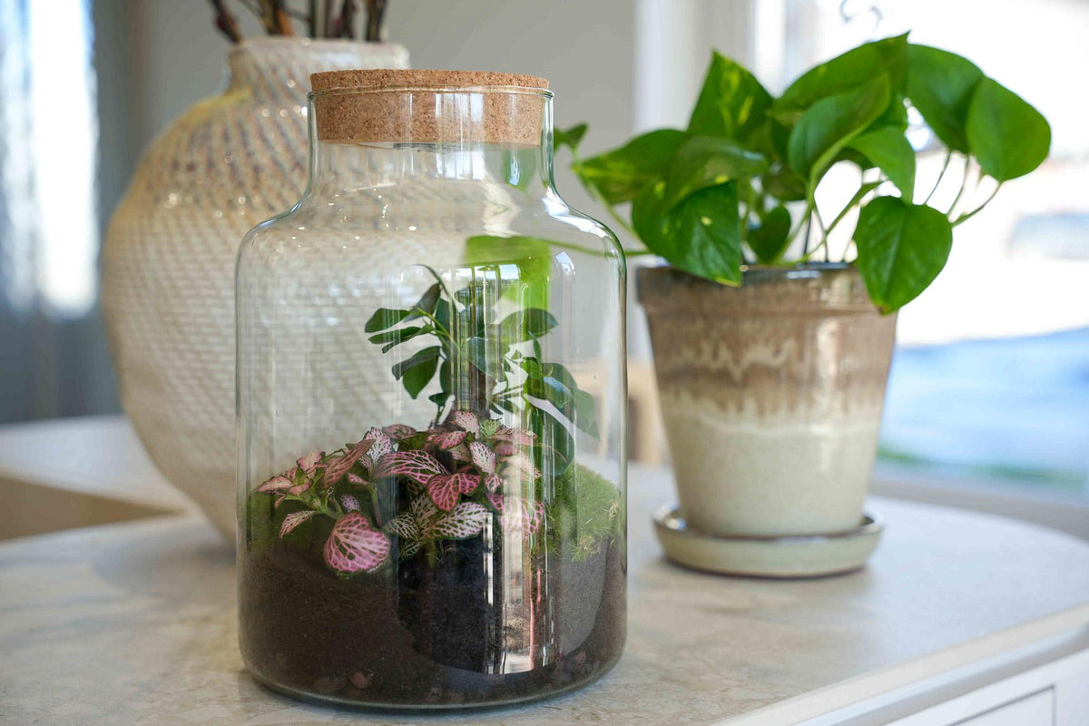 'LOVE MOM' terrarium Little Milky + gegraveerde kurk met licht - Fles terrarium DIY kit - Ø 17 cm ↑ 25 cm - Moederdag
