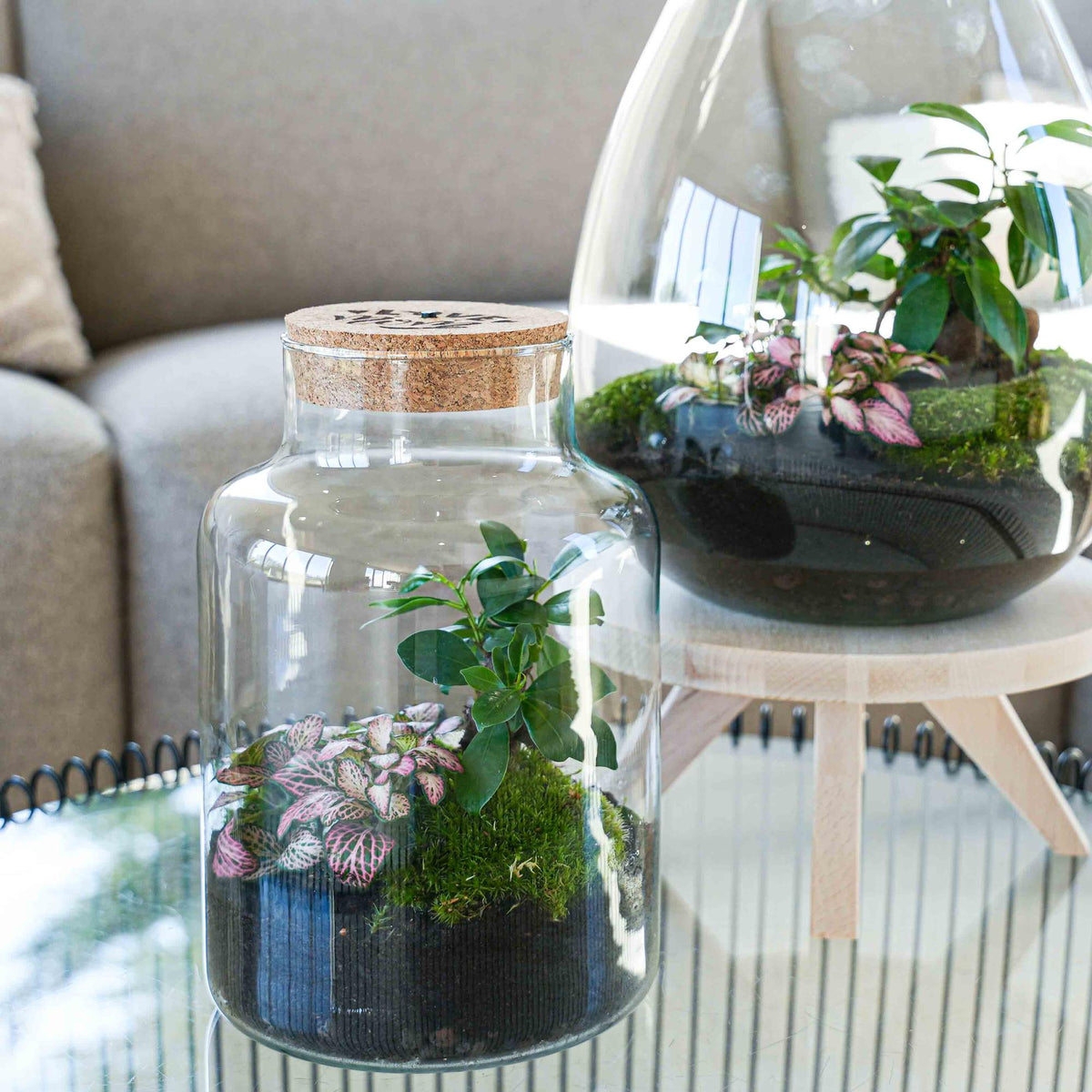 'LOVE MOM' terrarium Little Milky + gegraveerde kurk met licht - Fles terrarium DIY kit - Ø 17 cm ↑ 25 cm - Moederdag