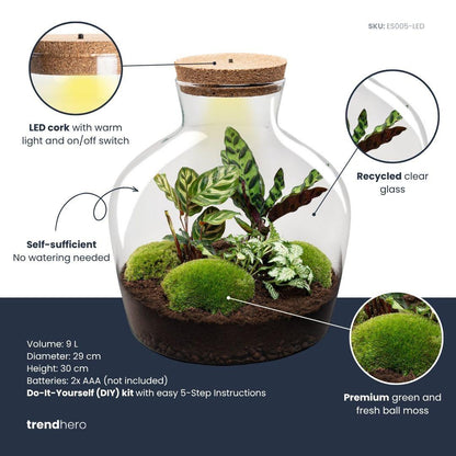 DIY Planten terrarium met licht -  Fat Joe - Ø 29 cm ↑ 30 cm - Rake + Shovel + Tweezer