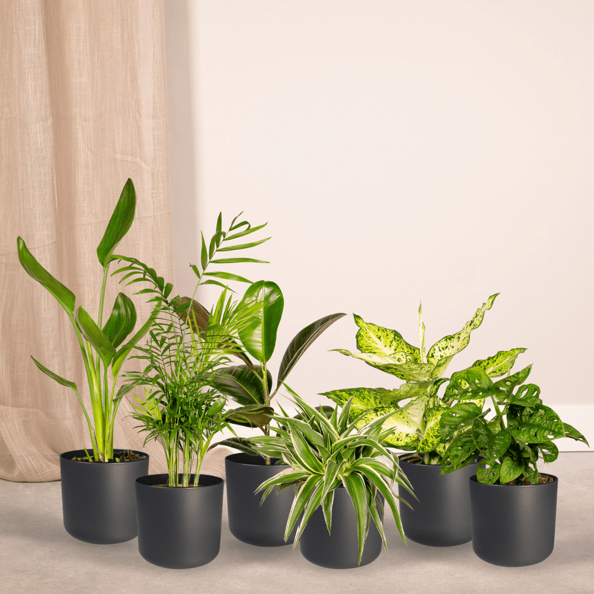 Verrassingsbox - Ø12cm - ↕25cm - x10