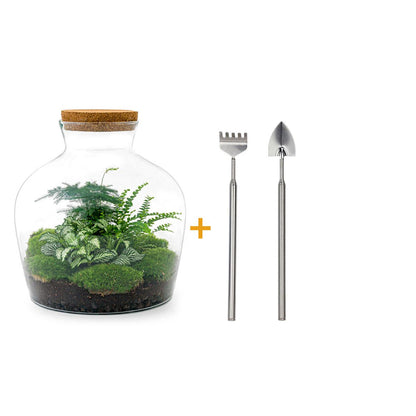DIY Planten terrarium met licht - Fat Joe Green - Ø 29 cm ↑ 30 cm - Rake + Shovel