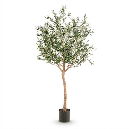 Kunst Olijfboom -  Olea europaea - Olijfboom - 180 cm