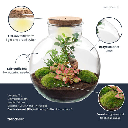DIY Planten terrarium met licht - Bolder Bob Bonsai - Ø 31 cm ↑ 30 cm