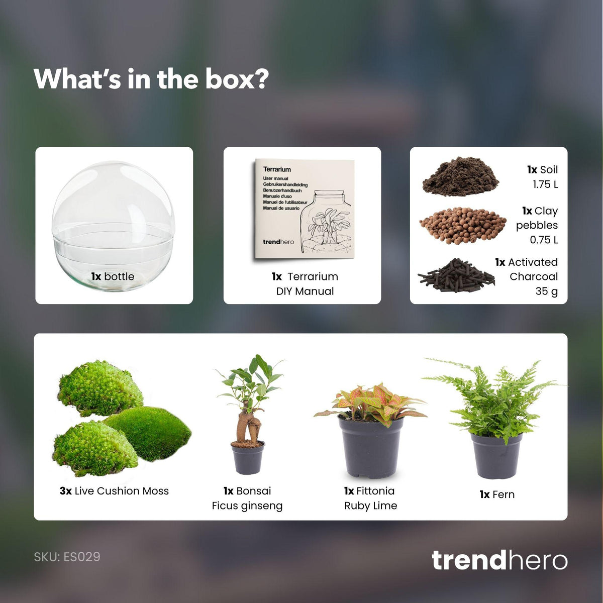 DIY Planten terrarium tweedelig bolglas - Dome XL Bonsai - Ø 28 cm ↑ 28 cm - No tools