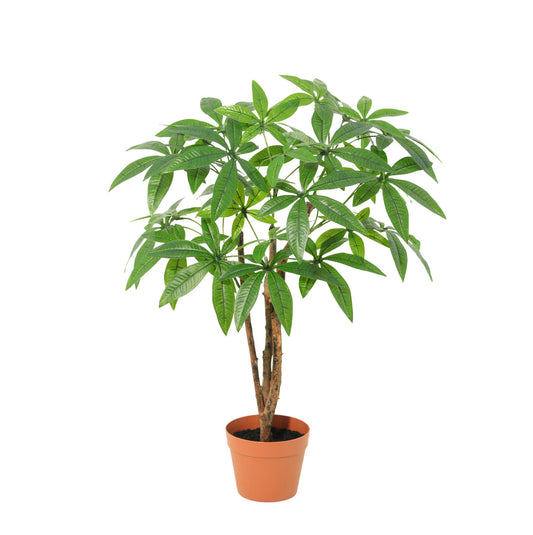ARTIFICIAL Pachira Aquatica - 86cm
