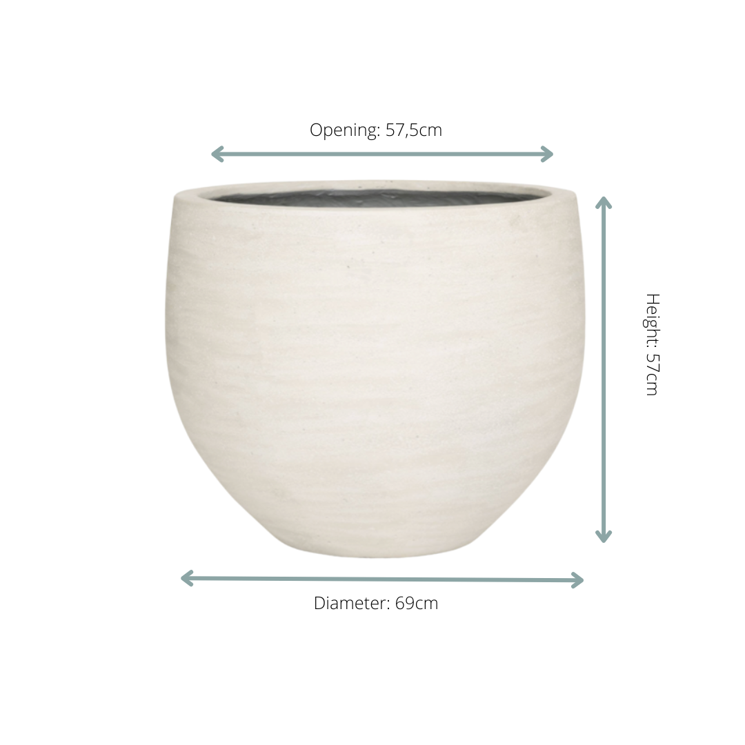 Jumbo Orb Ivory Washed - D69xH57