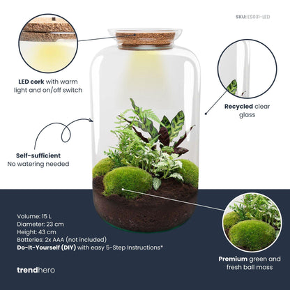 DIY Planten terrarium met licht - Sven XL Botanical - Ø 23 cm ↑ 43 cm - Rake + Shovel + Tweezer + Scissors