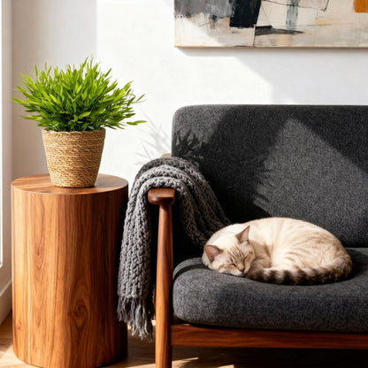 Kamerplant - Bamusa Pogonatherum Monica - Bamboegras - Huisdiervriendelijke Plant - Groen - 2 Planten - met Mand - Pot 12cm - Hoogte 20cm