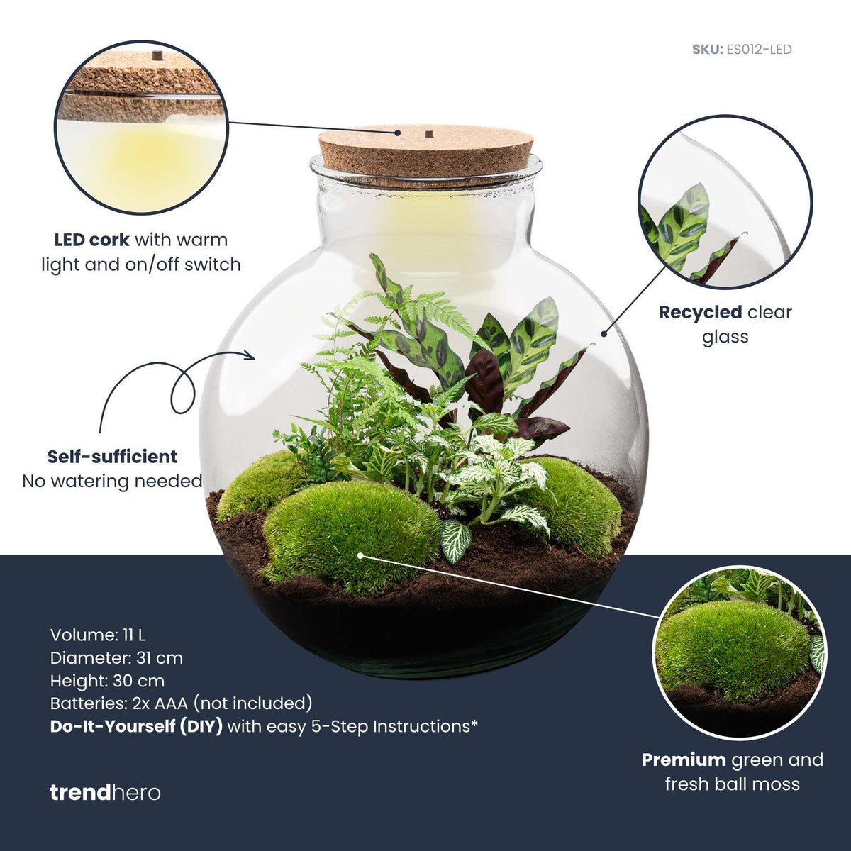 DIY Planten terrarium (met verlichting) - Bolder Bob - Ø 31 cm ↑ 30 cm - Rake + Shovel + Tweezer + Scissors