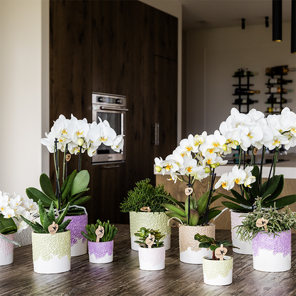 Kolibri Home | Bloom sierpot - Lila - Ø12cm