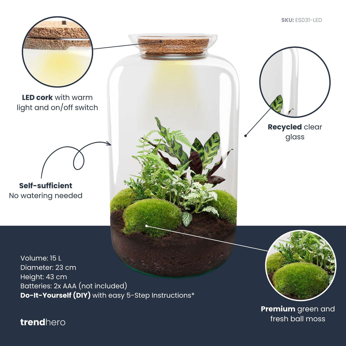 DIY Planten terrarium met licht - Sven XL Botanical - Ø 23 cm ↑ 43 cm - Rake + Shovel + Tweezer