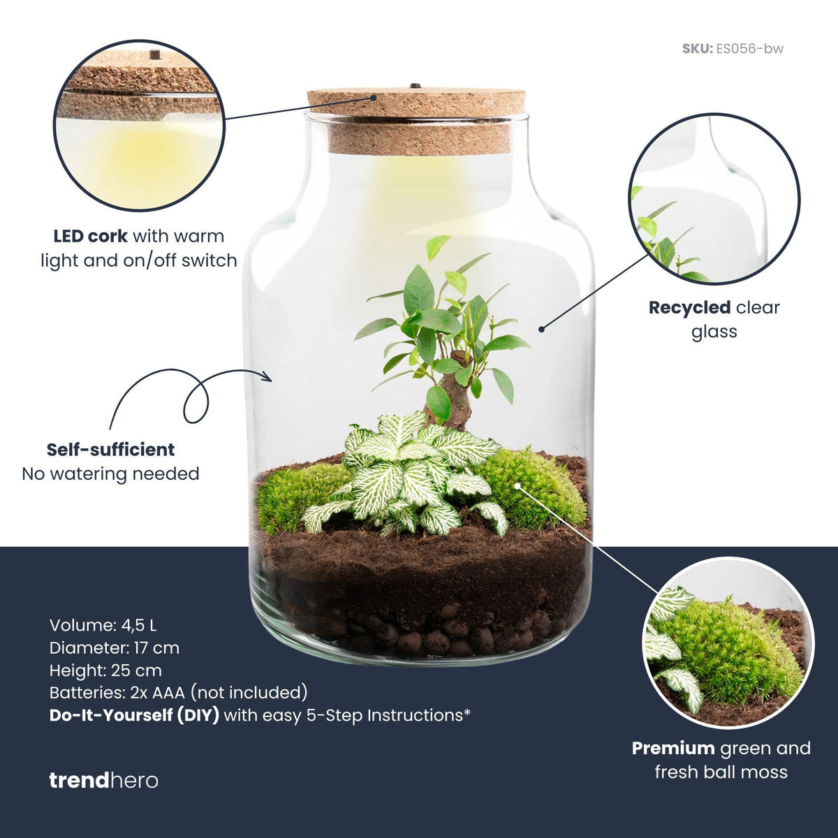 DIY Planten terrarium met licht - Little Milky Bonsai - Ø 17 cm ↑ 25 cm