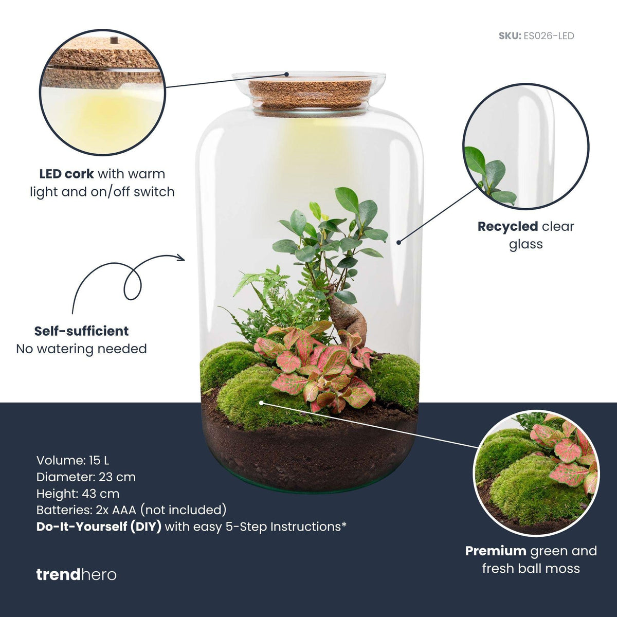 DIY terrarium - Sven XL Bonsai - Met verlichting - ↕ 43 cm - Rake + Shovel + Tweezer