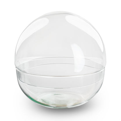 Terrarium bolglas tweedelig - Dome - Ø 20 cm ↑ 20 cm