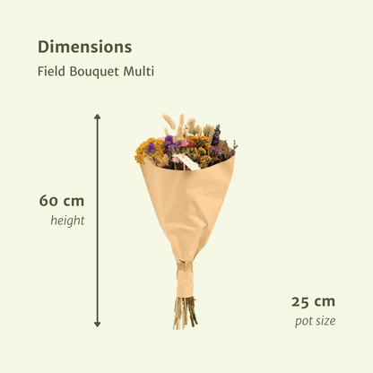 Droogbloemen Field Bouquet Multi - Ø25cm - ↕60cm