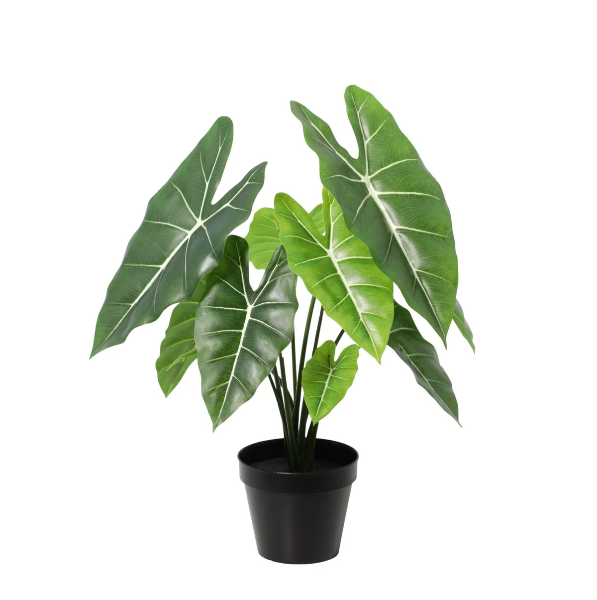 ARTIFICIAL Alocasia Polly - 40cm