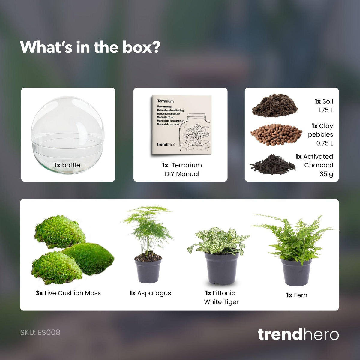 DIY Planten terrarium tweedelig bolglas - Dome XL -Ø 28 cm ↑ 28 cm - No tools