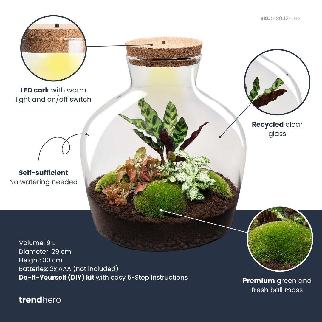 DIY Planten terrarium met licht - Fat Joe Red - Ø 29 cm ↑ 30 cm - Rake + Shovel