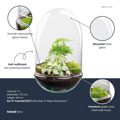 DIY Planten terrarium tweedelig bolglas - Egg XL - Ø 17,5 cm ↑ 30 cm