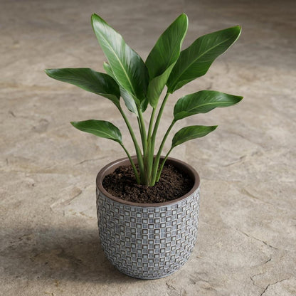 Mini pot relief blauw D7