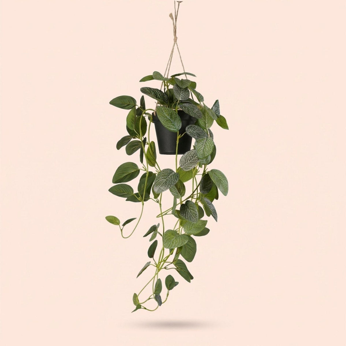 Fittonia - hangplant in pot - 70 cm - Kunstplant