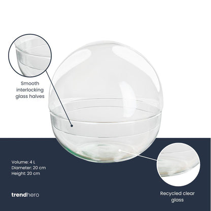 Terrarium bolglas tweedelig - Dome - Ø 20 cm ↑ 20 cm