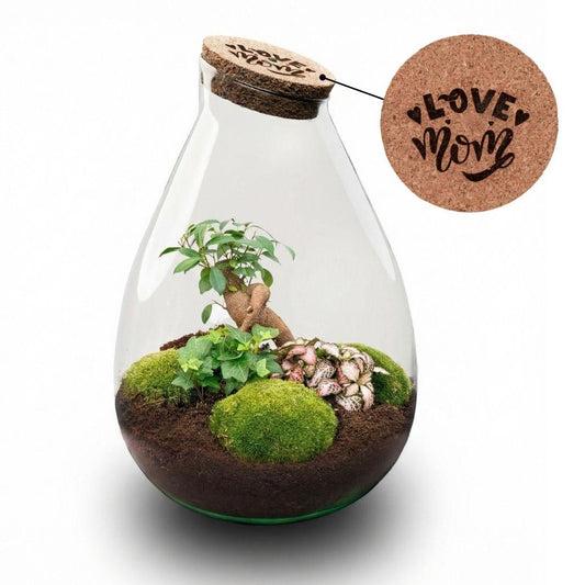 'LOVE MOM' terrarium Drop XL + gegraveerde kurk - Fles terrarium DIY kit – Ø 24 cm ↑ 37 cm - Moederdag