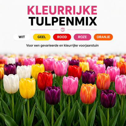 10 zakjes tulpenbollen Mix - 20 Stuks - Winterhard - Maat 11/12