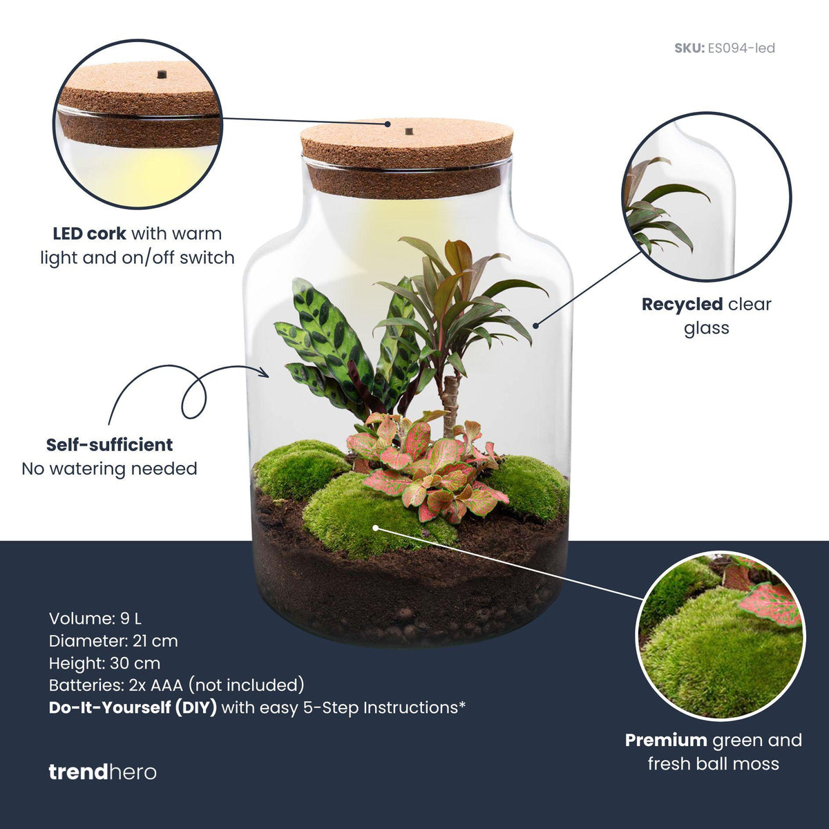 DIY Planten terrarium met licht - Milky Palm - Ø 21 cm ↑ 30 cm